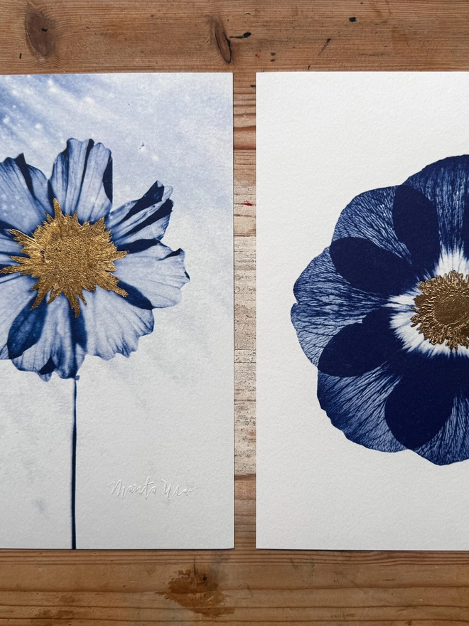 Blue and white set of two flower Botanical X-ray print from an original Cyanotype 