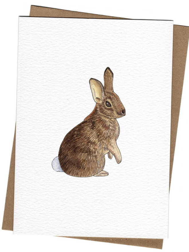 rabbit card