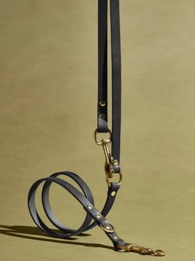 Adjustable Long Leather Dog Lead - Grey