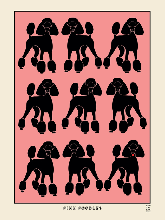 black poodles on pink background Giclee print