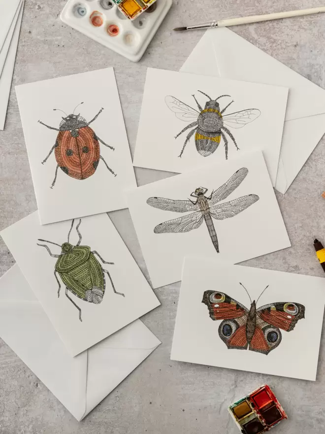Pack of five note cards with intricately patterned pen and watercolour drawings of a bee, ladybird, dragonfly, Green shield bug and Peacock butterfly