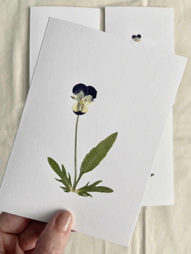 Hand holding pressed pansy flower greeting card