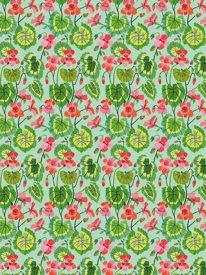 brie harrison geranium gift wrap