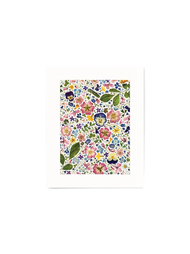 10x8” Floral Print of Pressed Flowers arranged on a light natural background.