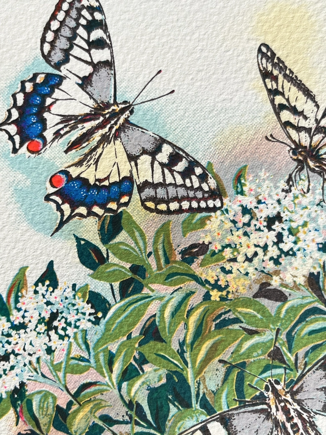 Happy Hour Hand Finished Butterfly Screenprint