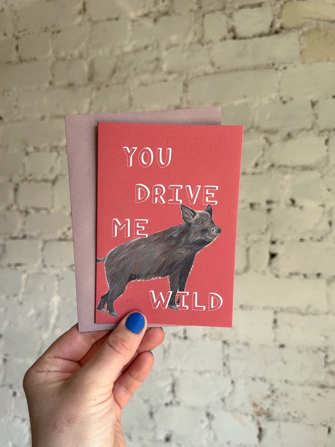 a red greetings card featuring an illustration of a wild boar with the text “you drive me wild” with a muted purple envelope