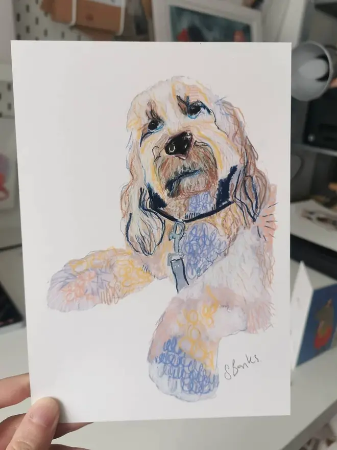 custom illustrated pet portrait. drawn portrait of cockapoo on white background.