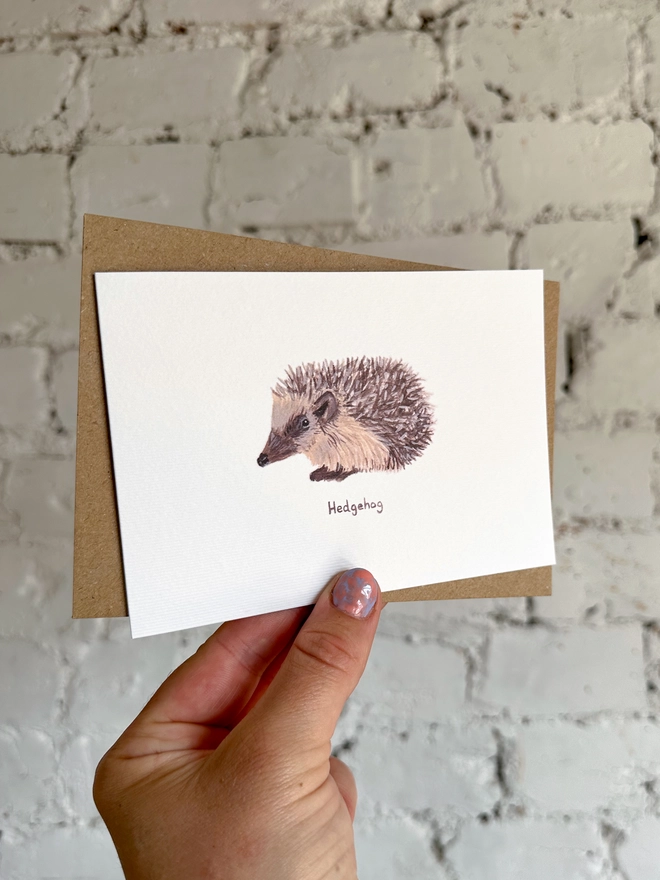 A greetings card featuring an illustrated hedgehog with a brown kraft envelope