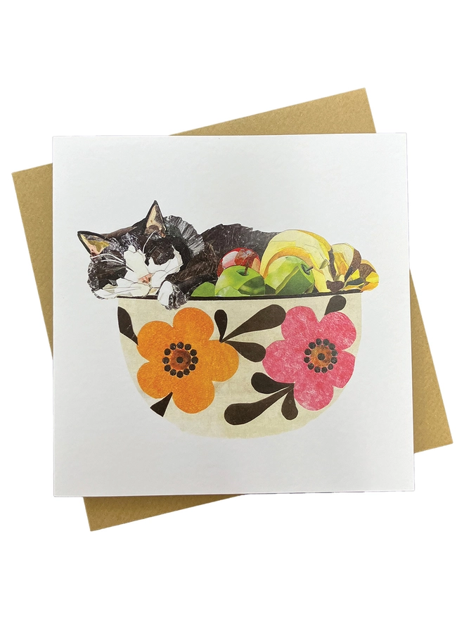Cat in a Fruit Bowl Greetings Card