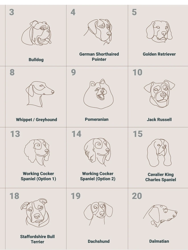 Dog Breeds