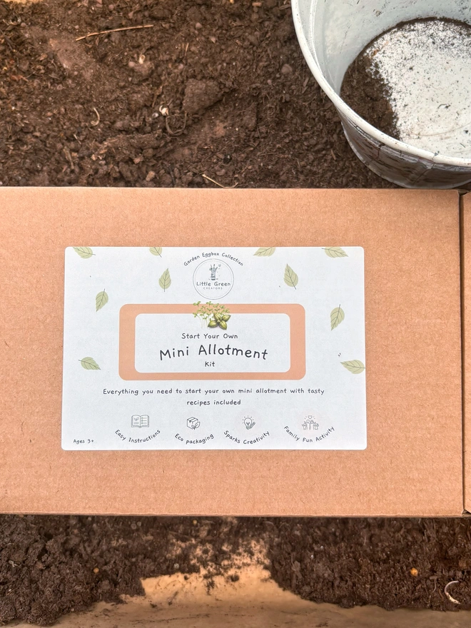 Mini allotment Kraft box in soil