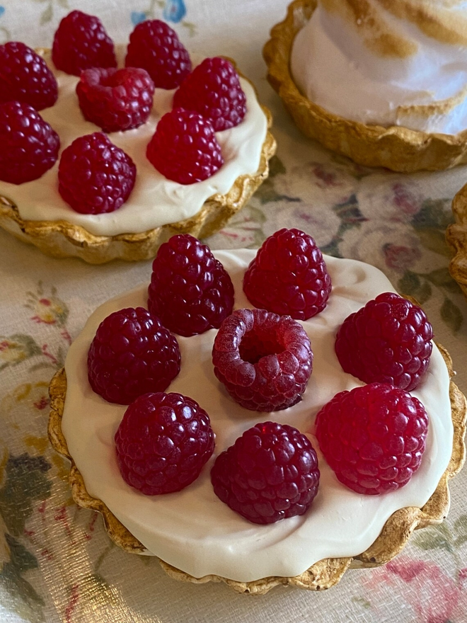 Fake food tart