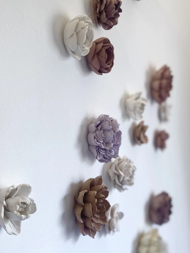 Wall Flowers