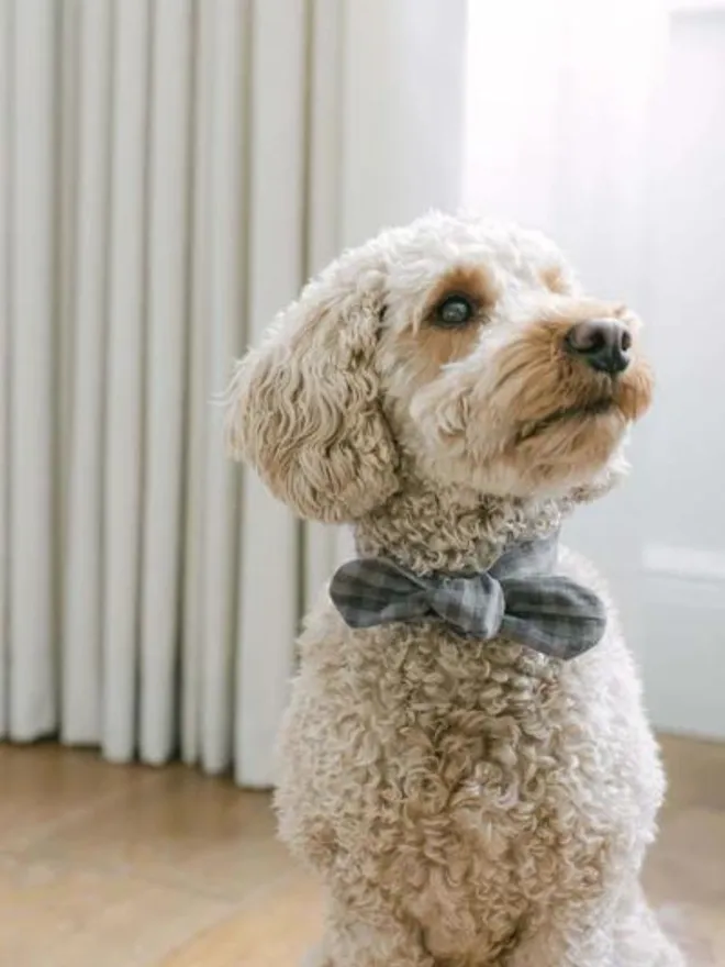 Handmade Gingham Dog Necktie