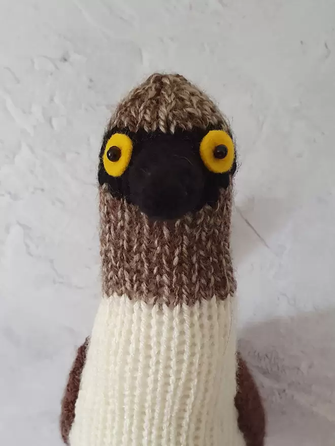 bryan the knitted blue footed booby
