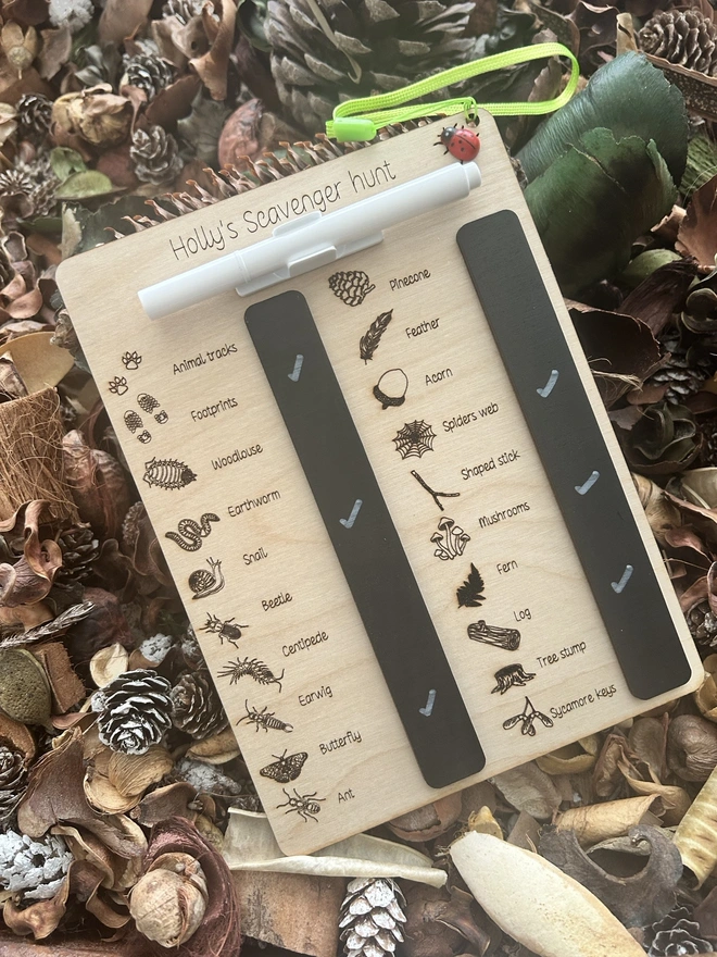 A personalised wooden scavenger hunt board titled “Holly’s Scavenger Hunt” sits among dried leaves and pinecones. Engraved illustrations and labels highlight a range of natural treasures and minibeasts to find, including pinecone, feather, acorn, spider’s web, shaped stick, mushrooms, fern, log, tree stump, sycamore keys, animal tracks, footprints, woodlouse, earthworm, snail, beetle, centipede, earwig, butterfly, and ant. Two black wipe‑clean sections are built into the board, and a white marker is attached with a bright green cord finished with a tiny ladybird bead