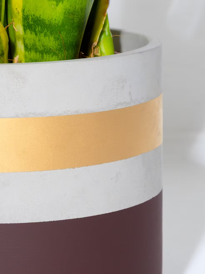 cocktail concrete plant pot. a painted deep brown plant pot with a gold rim.