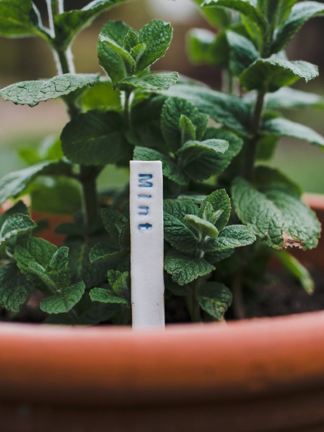 handmade ceramic plant label