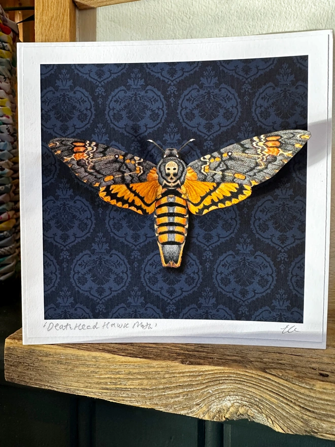 A photo of a square card with an ornate black background and a three dimensional Death's Head Hawk moth in the centre. The colours are black, grey and orange. A perfect card for Halloween or someone who loves entomology.