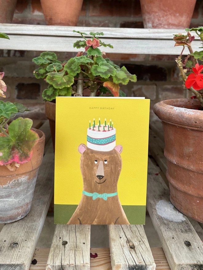 bear cake hat birthday card