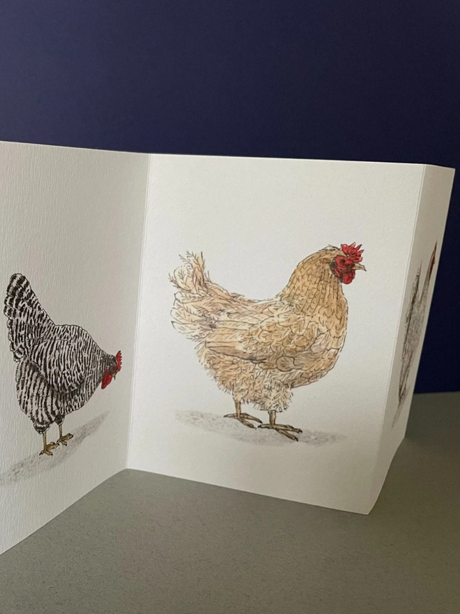 Watercolour Illustration Chicken Concertina Card