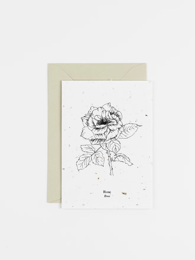 Rose June Birth Flower Plantable Card