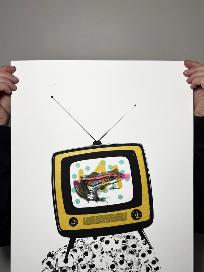 Froggy Vision_Screen Printed Large A2 Poster_Holly and Co_Close up top