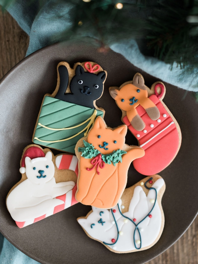 Christmas cat biscuit gift 