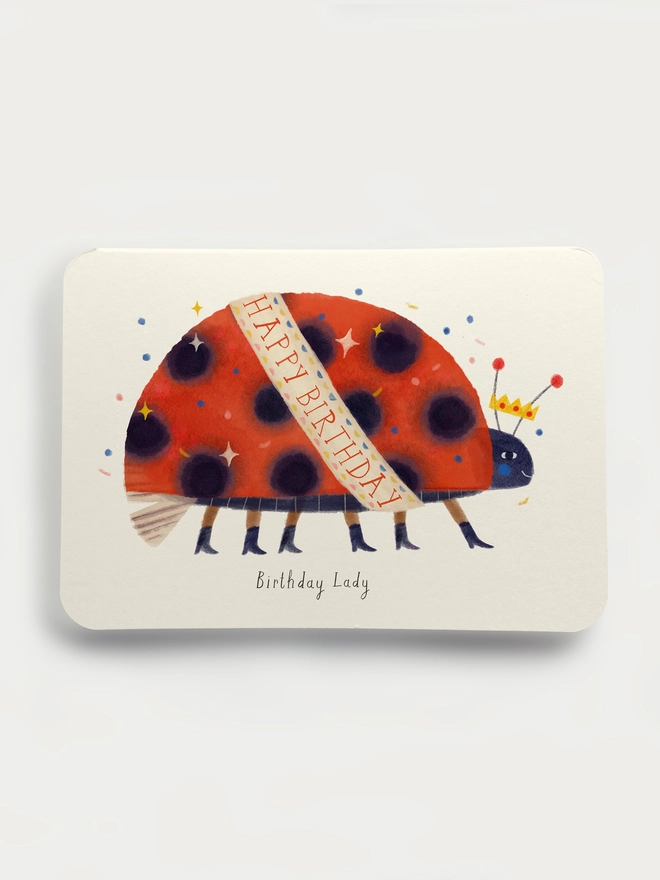 Birthday Ladybird Greetings Card