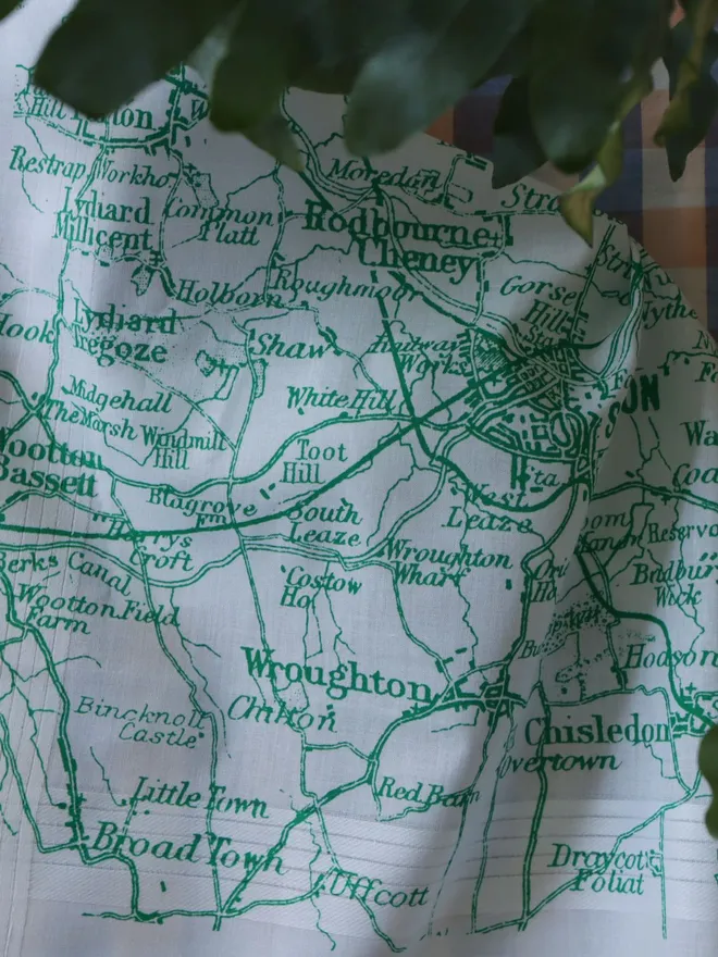Detail of a Mr.PS Swindon map hankie printed in green with house plant leaves in the top of the frame