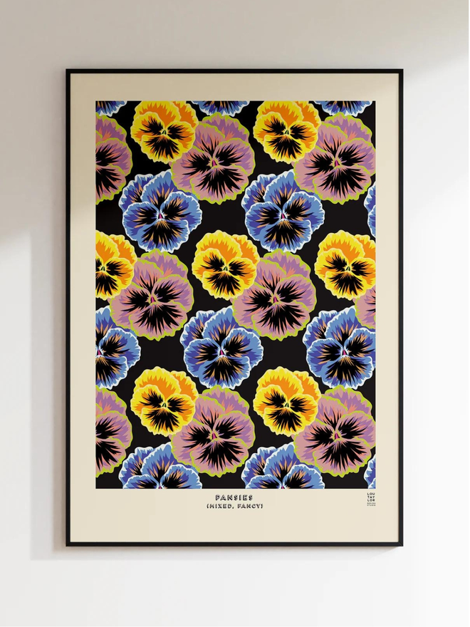 blue yellow and pink pansy Giclee print