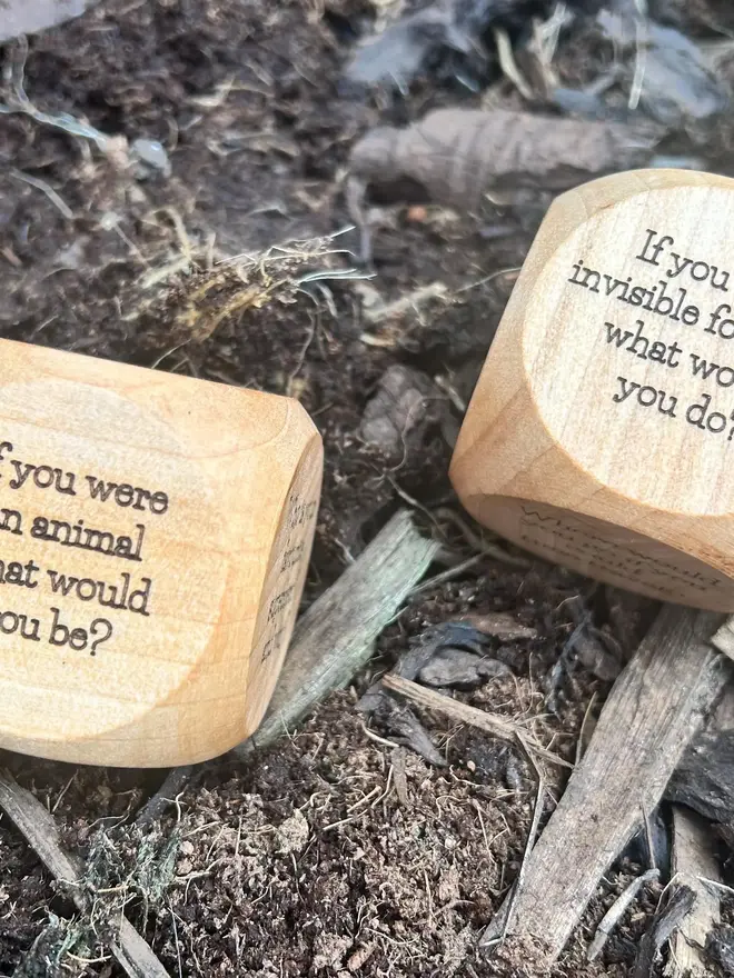 Dice showing 2 questions on a forest floor