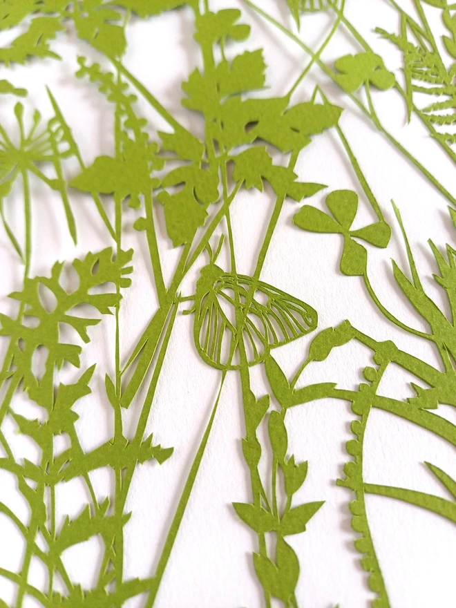 Closeup of papercut olive green summer plants, butterflies and flowers in personalised initial artwork