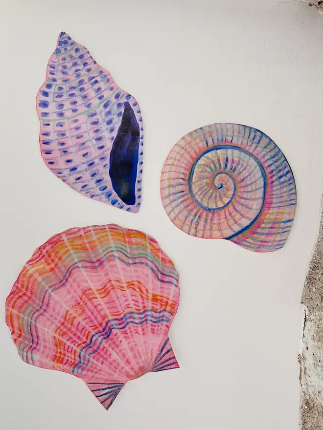 wooden shell wall art decoration. three illustrated shells on a white wall.