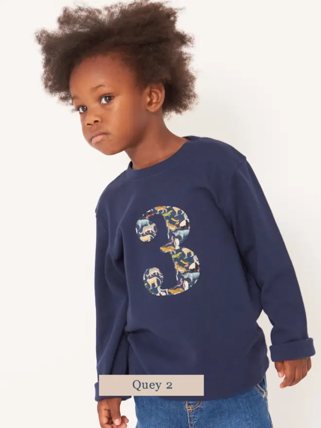  A 3 year old boy wearing a navy birthday t-shirt with a number 3 cut from liberty zoo animal print on the front