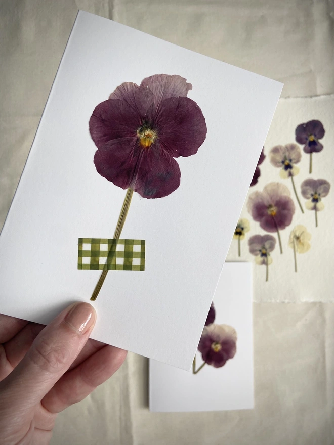 Hand holding pressed pink pansy flower and gingham washi tape greeting card