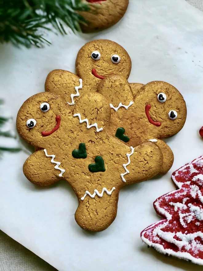 Fake Gingerbread Biscuit