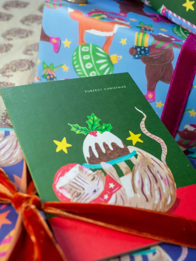 cat christmas card