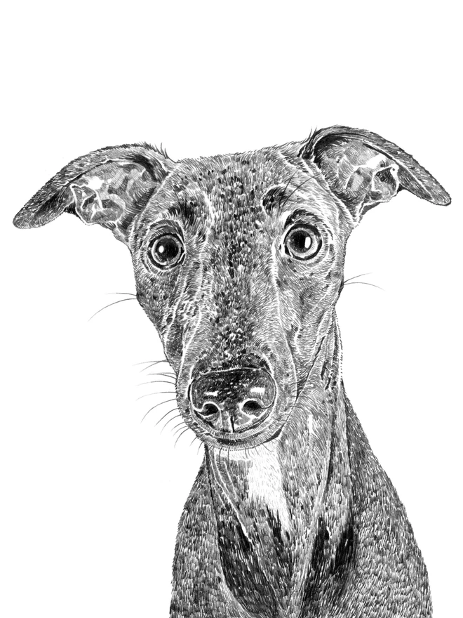 Detail of the whippet portrait
