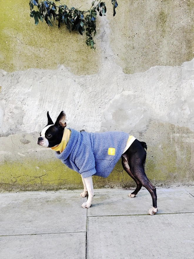 Shiro-Kuro Short Sleeve Dog Jumper - Boa Fleece