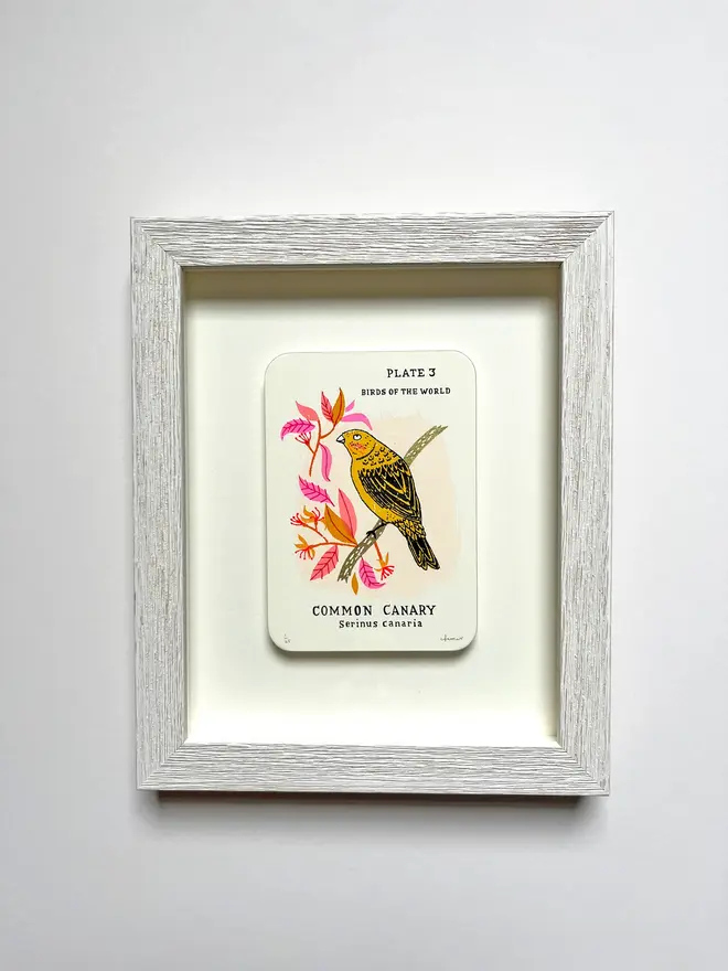 Canary Screenprint On Gold Edge Card, a colourful bird design on a white screenprint in a white frame. 