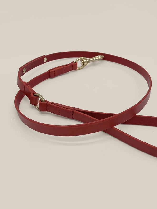 red leather dog lead curled up