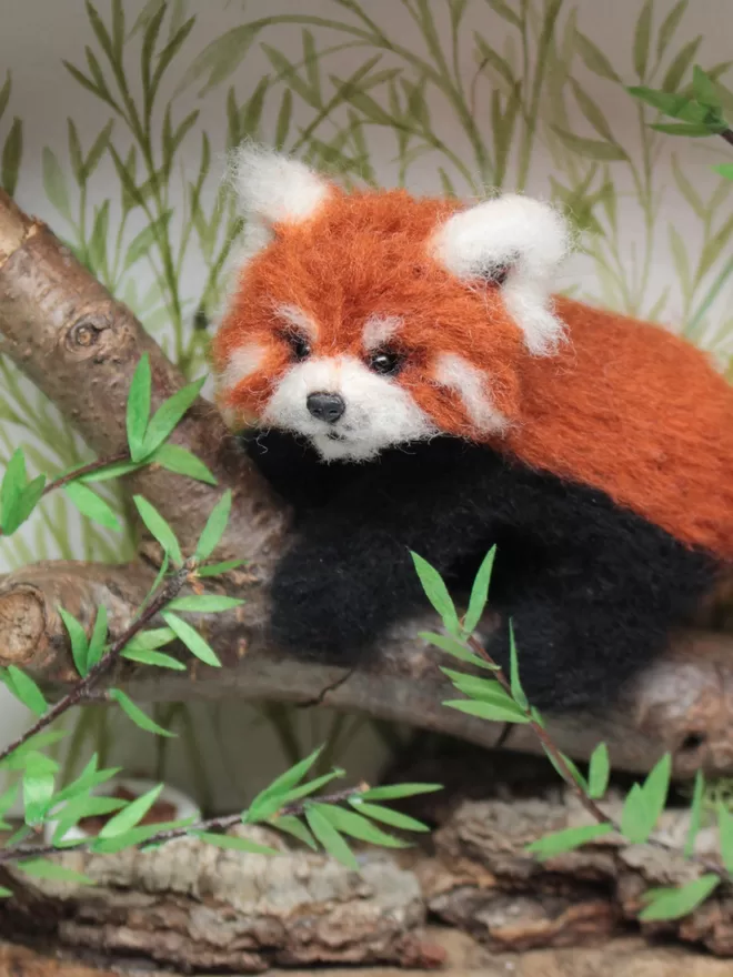 Close-up of a needle-felted red panda
