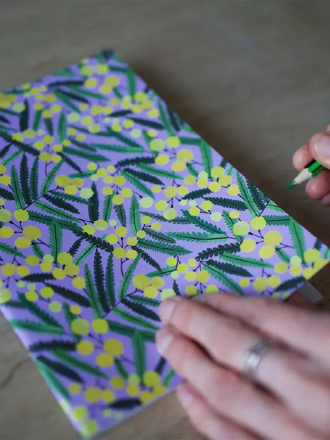 illustrated mimosa notebook