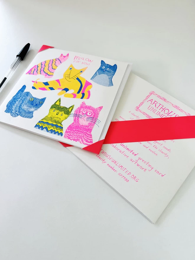 Close up of riso print cat card in fluro pink blue & yellow with curious stares & funny poses 