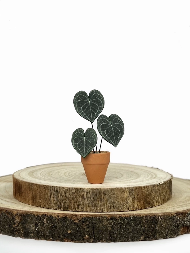 A miniature replica Anthurium Clarinervium paper plant ornament in a terracotta pot sat on 2 round wooden log slices