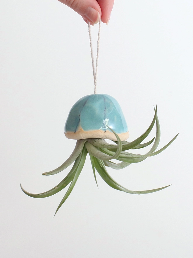 turquoise ceramic shell with airplant hanging inside to appear like a jellyfish hanging from string