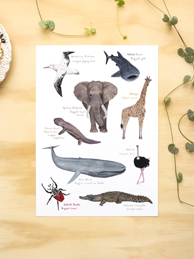 a print with a white background featuring illustrations of some really big animals 