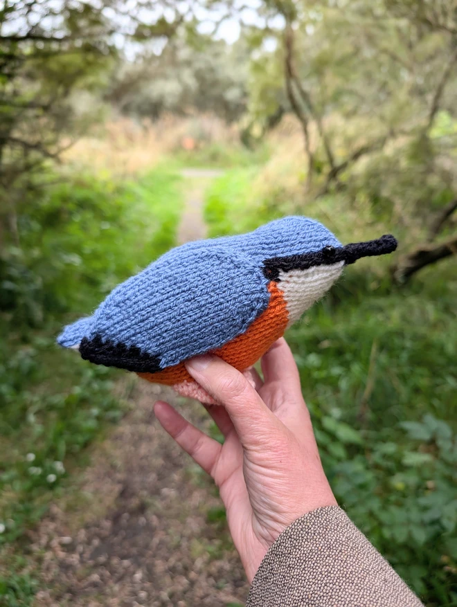 knitted nuthatch made from a beginners knitting kit, in a Scottish forest