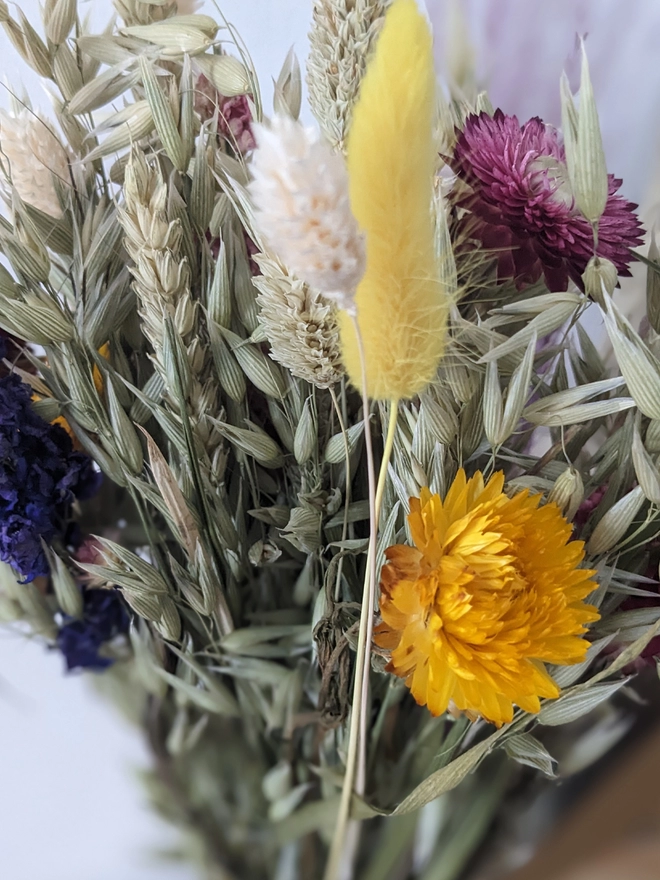 Everlasting dried flowers, natural dried flowers, bunny tails, pink flowers, dried flower bouquet, home , close up
